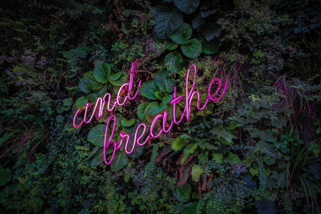 neon sign saying breath: important habit for entrepreneur
